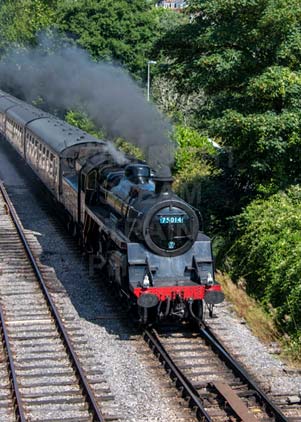 Purchase photo of 75014 BRAVEHEART at Dartmouth Steam Railway